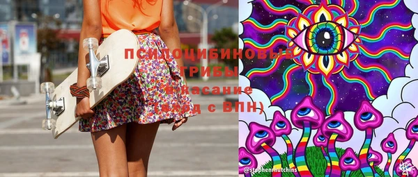 твердый Алексин