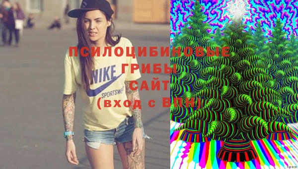 твердый Алексин