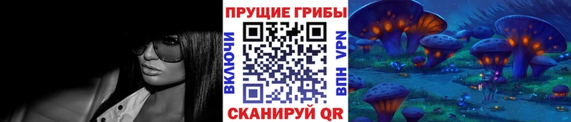 где купить   Новошахтинск  Псилоцибиновые грибы ЛСД 